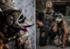 Компания Warhound будет выращивать генетически модифицированных собак для армии США