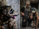 Компания Warhound будет выращивать генетически модифицированных собак для армии США
